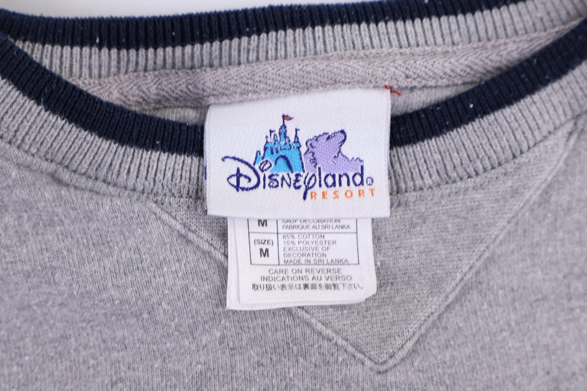 Disneyland Resorts Tigger Embroidered Sweater