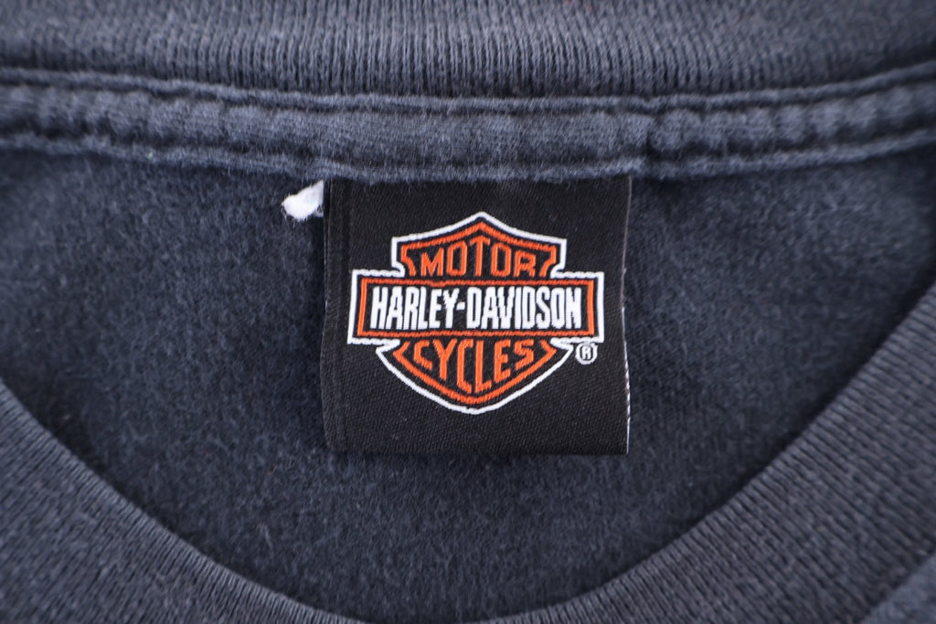 Harley Davidson Motorcycles Florida T-shirt product image 4